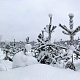 Зимушка-колдунья снегом замела… Фото: Е.В.Софронов